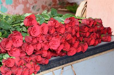 Flower-Market, Madurai,_DSC_8209_H600